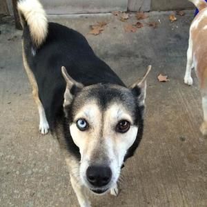 Meet your Posher, Brenda